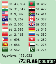 Flag Counter