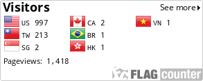 Flag Counter