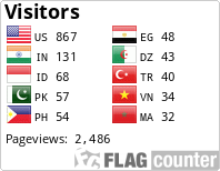 Flag Counter