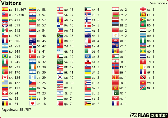 Flag Counter
