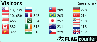 Flag Counter