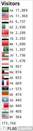 Flag Counter