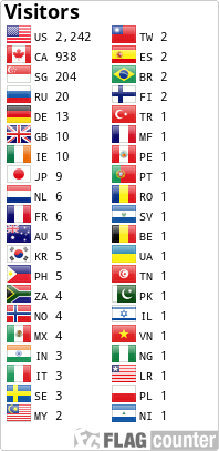 Flag Counter
