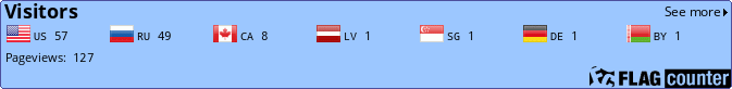 Flag Counter