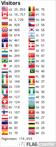 Flag Counter