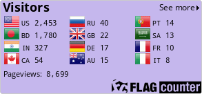 Flag Counter