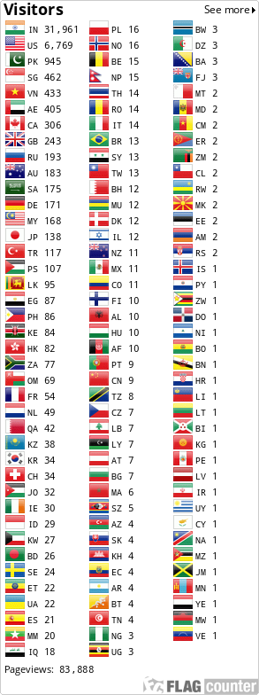 Flag Counter