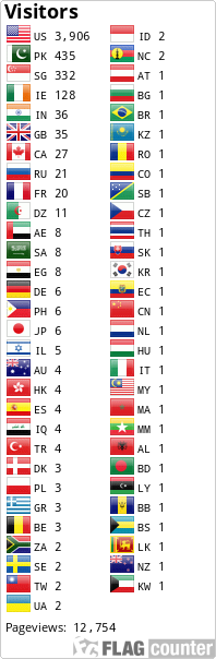 Flag Counter