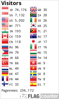 Flag Counter