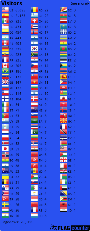 Flag Counter