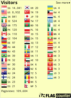 Flag Counter