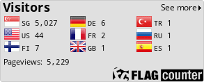 Flag Counter
