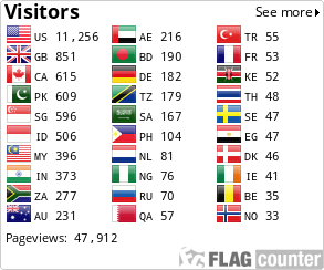Flag Counter