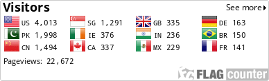 Flag Counter