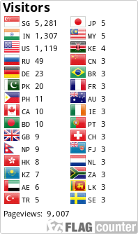 Flag Counter