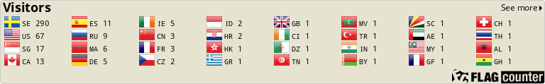 Flag Counter