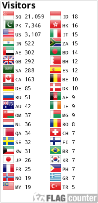 Flag Counter