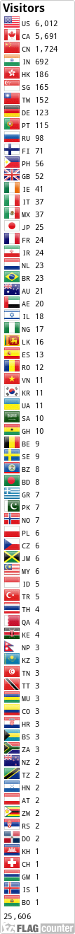 Flag Counter