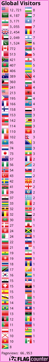 Flag Counter