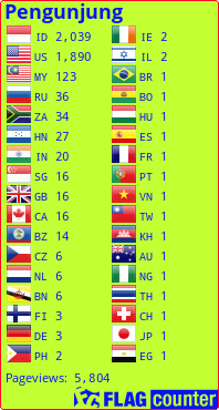 Flag Counter