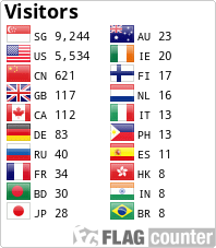 Flag Counter