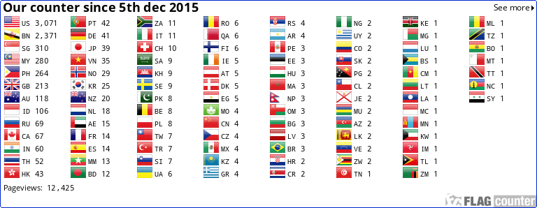 Flag Counter