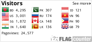 Flag Counter
