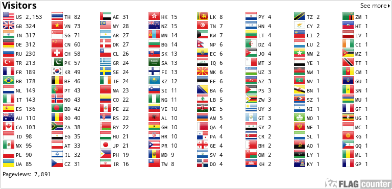 Flag Counter