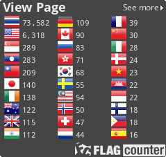 Flag Counter