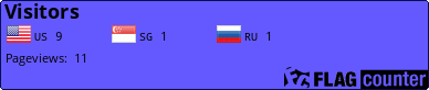 Flag Counter