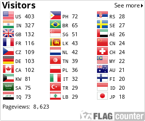 Flag Counter