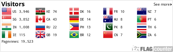 Flag Counter