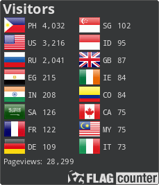 Flag Counter