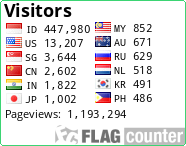 Flag Counter