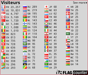 Flag Counter