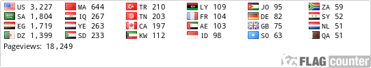 Flag Counter