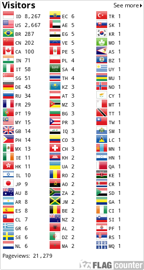Flag Counter