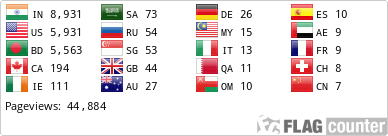 Flag Counter