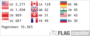 Flag Counter