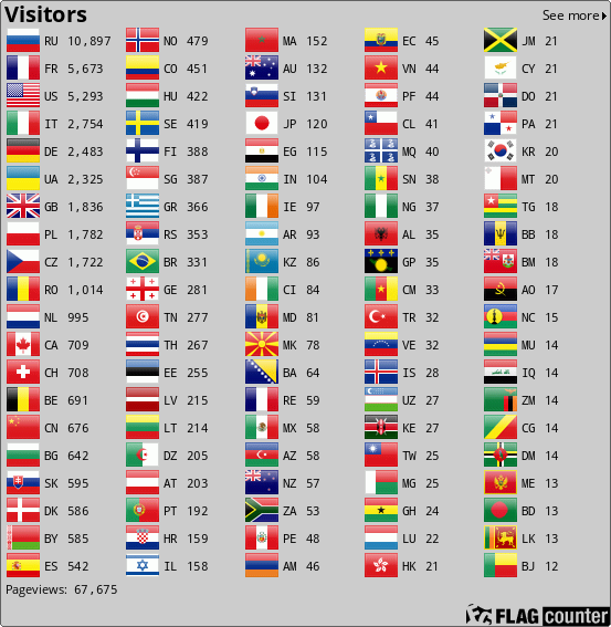 Flag Counter